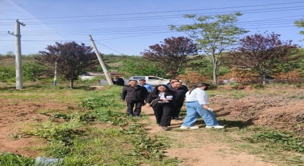 村落振兴工作动态（第168期）